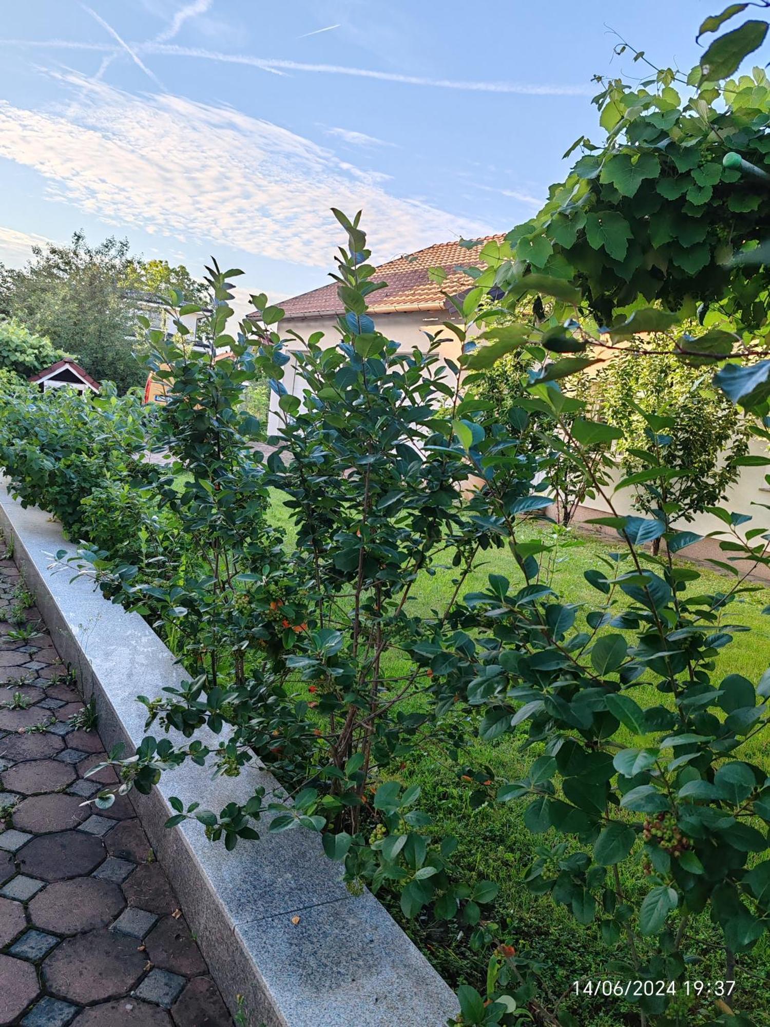 Guesthouse Jelic Teslic Ngoại thất bức ảnh